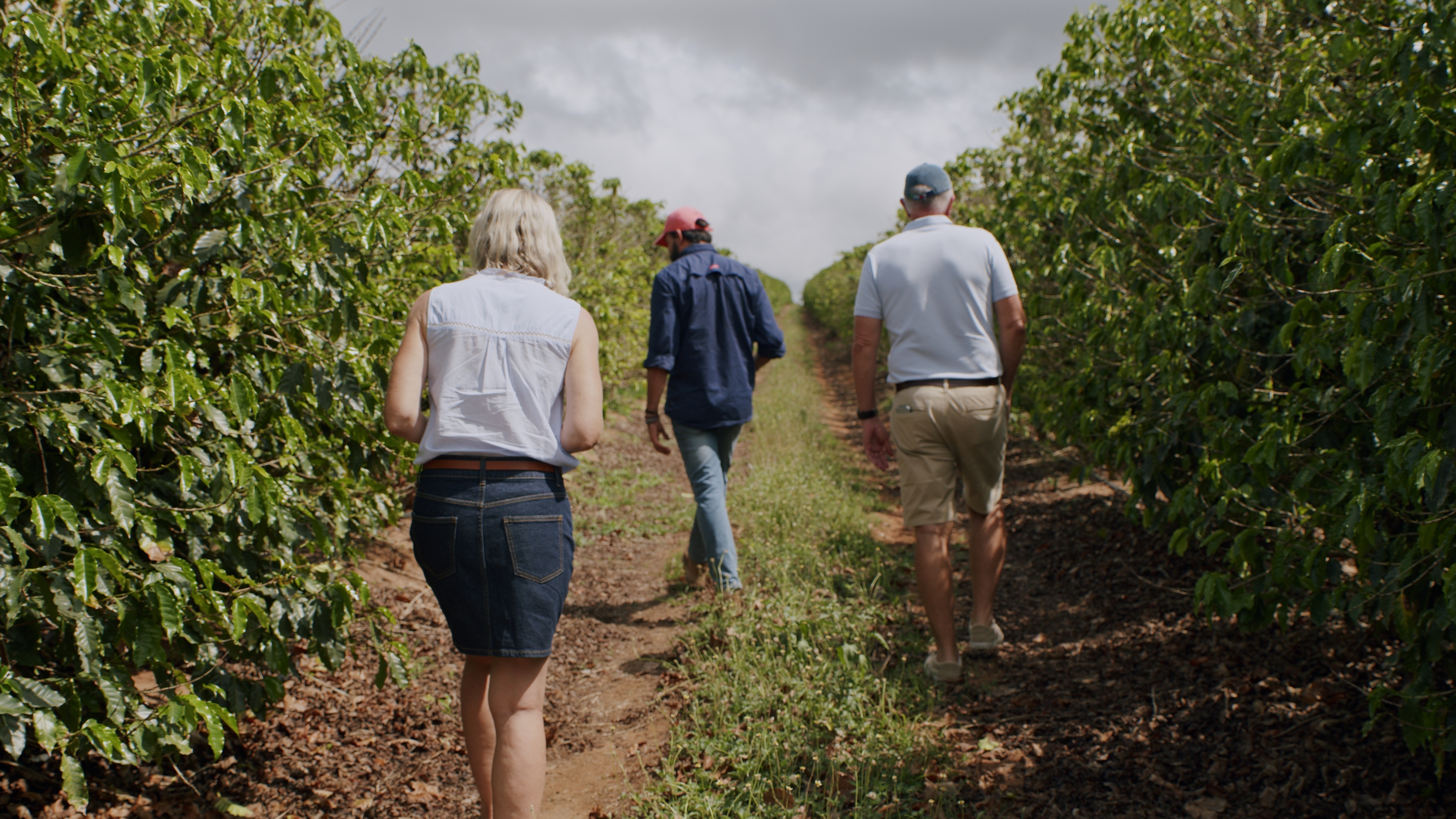 Atherton Tablelands Guided Coffee Farm Tour - 1 Hour