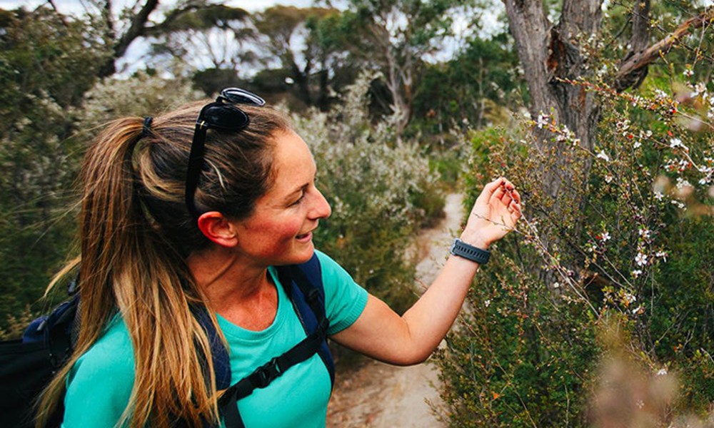 Freycinet Guided Walking Tour with Picnic Lunch departing from Freycinet National Park