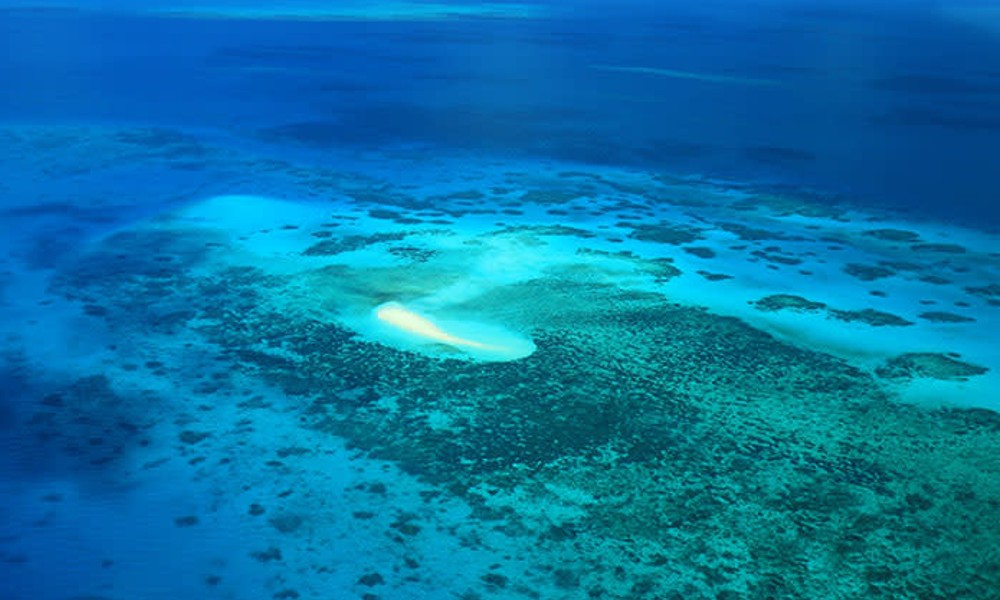 40 Minute Great Barrier Reef Scenic Flight From Cairns
