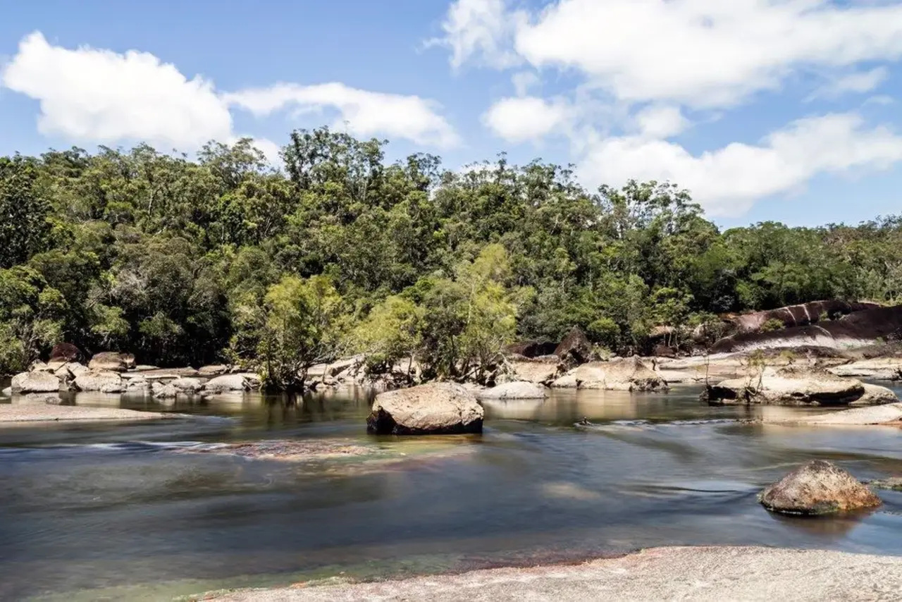 Mossman Gorge Kuku Yalanji Cultural Walk - Half Day