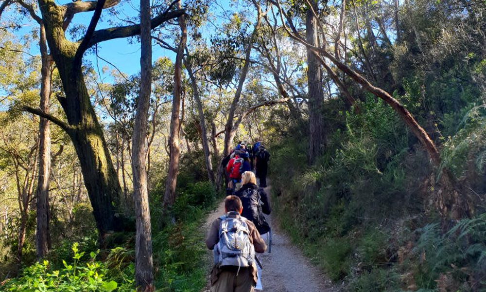 Mount Lofty Bushwalking and Waterfall Hike