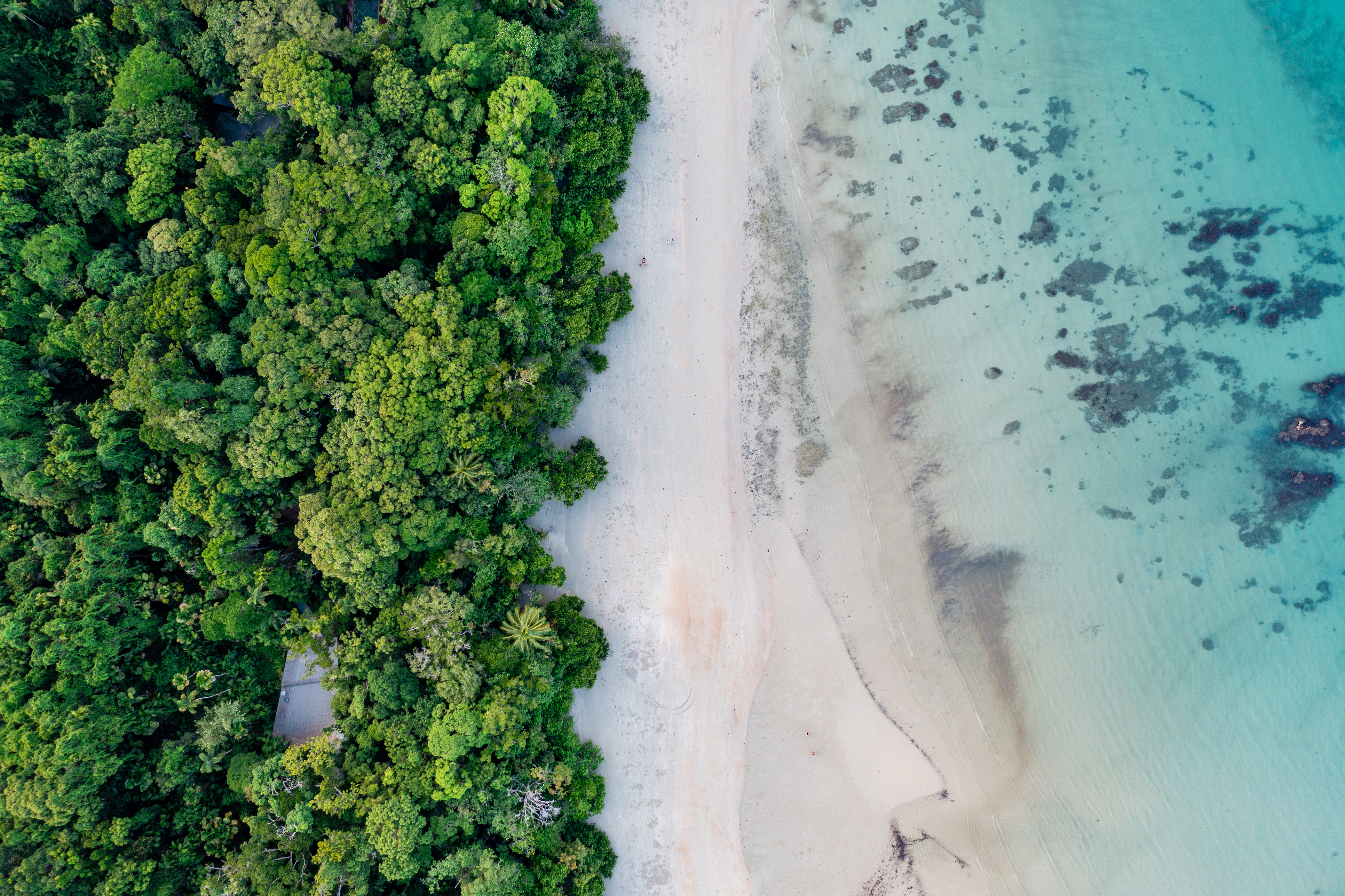 Kuku Yalanji Country Cultural Tour from Cairns - Full Day
