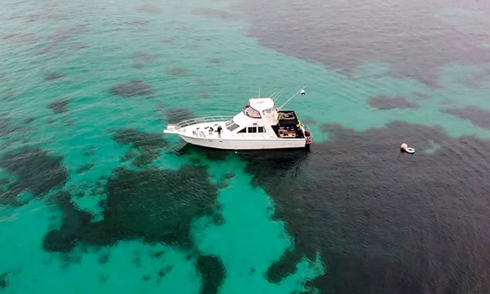 Carnac Island Snorkelling Tour with BBQ Brunch - 4 Hours - Snorkelling Tour of Carnac Island with BBQ Brunch-8am