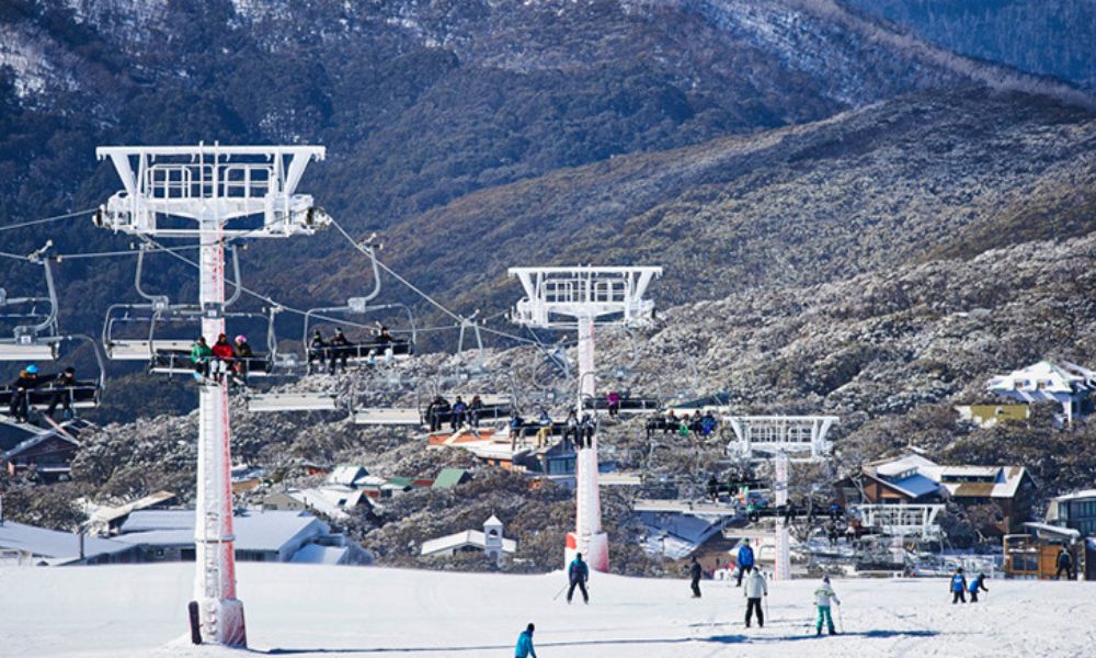 Mt Buller Day Trip with Transfers from Melbourne