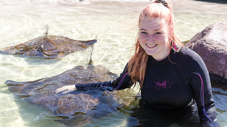 Stingray Cuddles and Shallow Water Experience