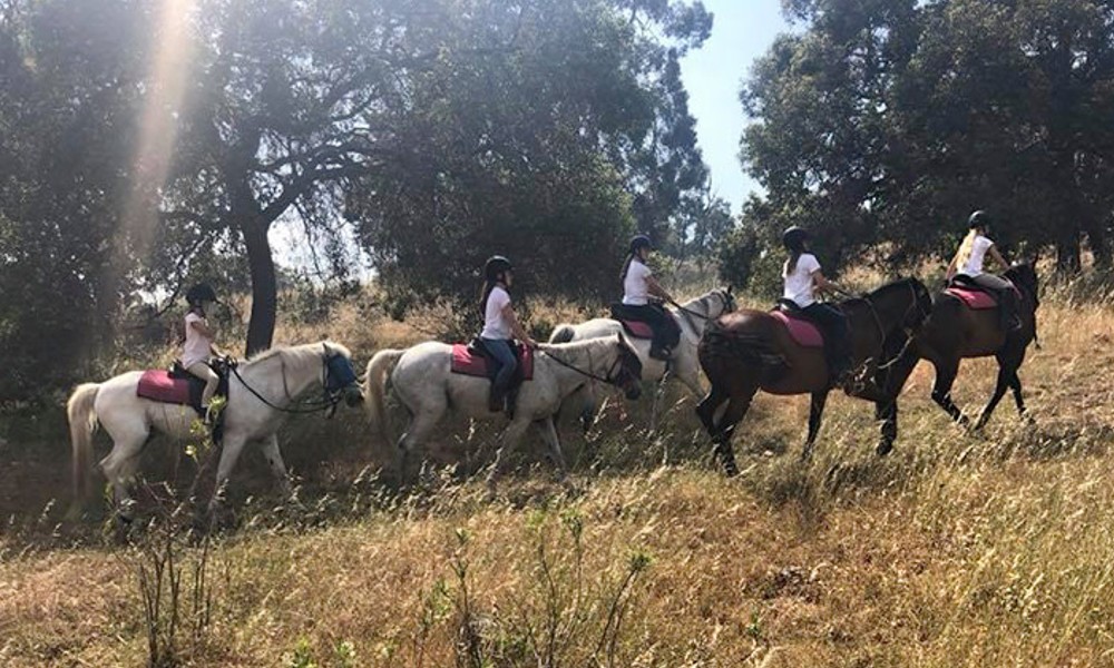 Horse Trail Ride with Grazing Platter and Glass of Wine