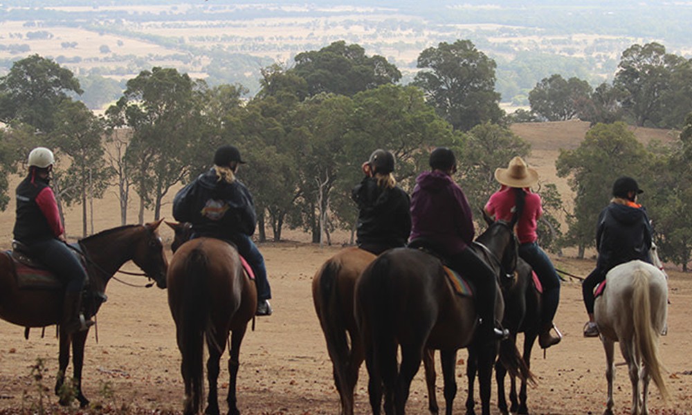 Horse Trail Ride with Grazing Platter and Glass of Wine