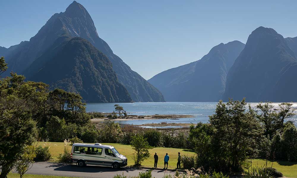 Milford Cruise and Guided Walk in Fiordland National Park