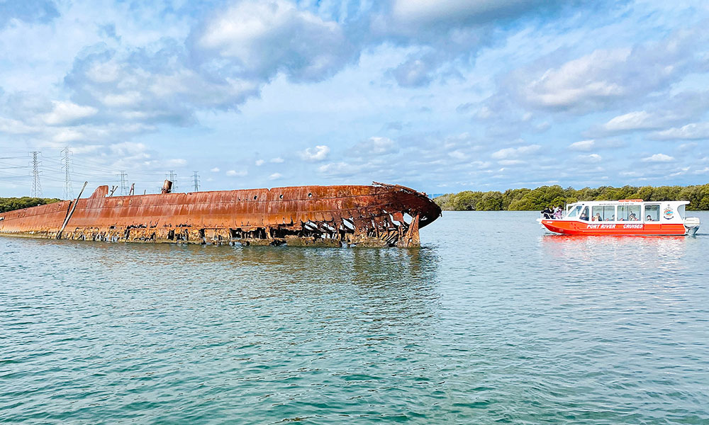 Port River Dolphin Cruise - 90 Minutes