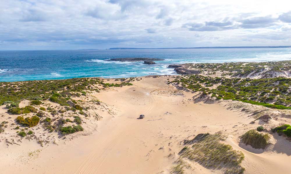 Port Lincoln Wildlife, Sightseeing and 4WD Tour with Lunch