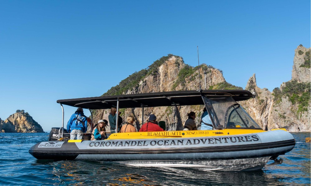 Aldermen Islands or Ruamaahu Nature Reserve Scenic Boat Tour