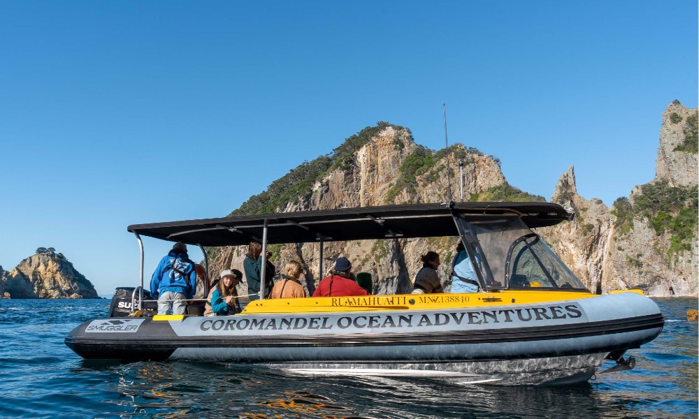 Coromandel Coastal and Island Classic Boat Tour