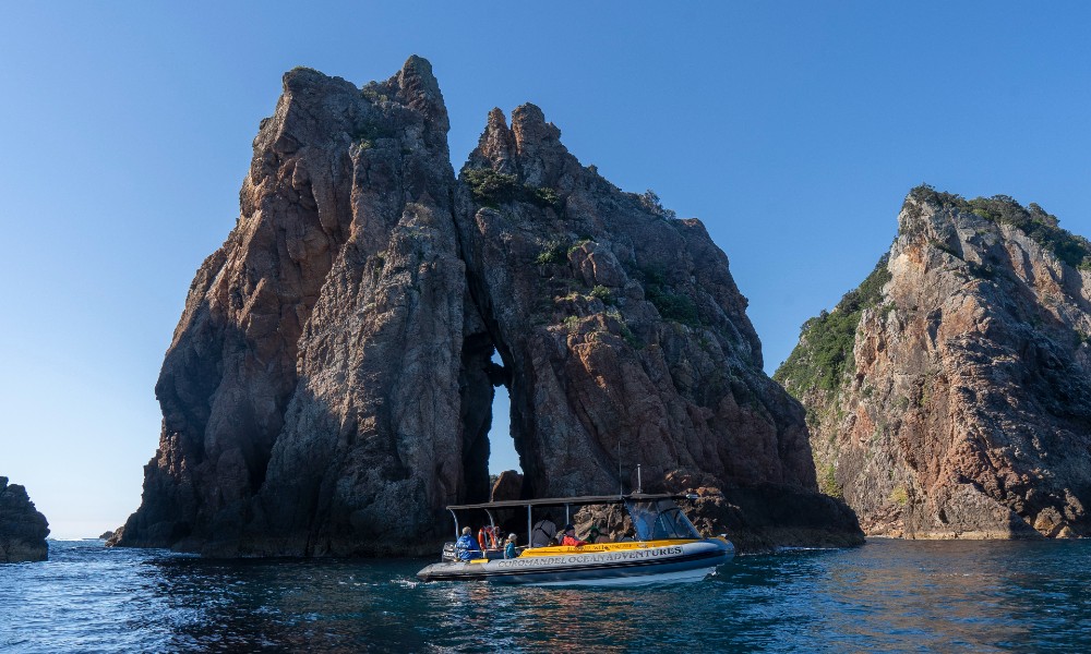 Coromandel Coastal and Island Classic Boat Tour