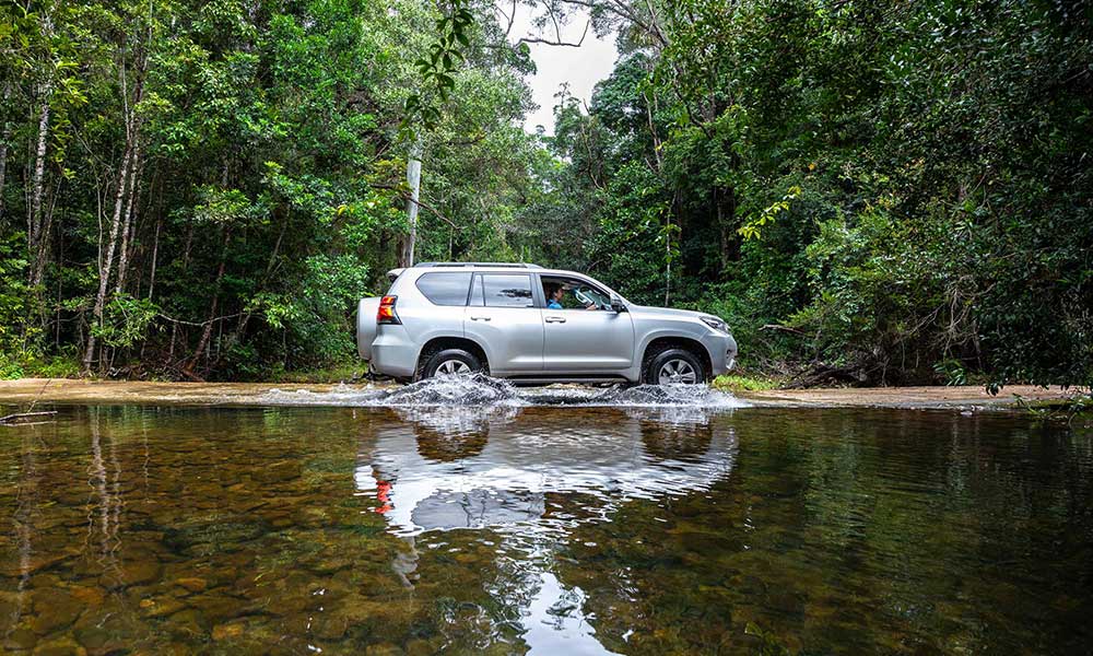 Half Day 4WD Daintree Rainforest Tour