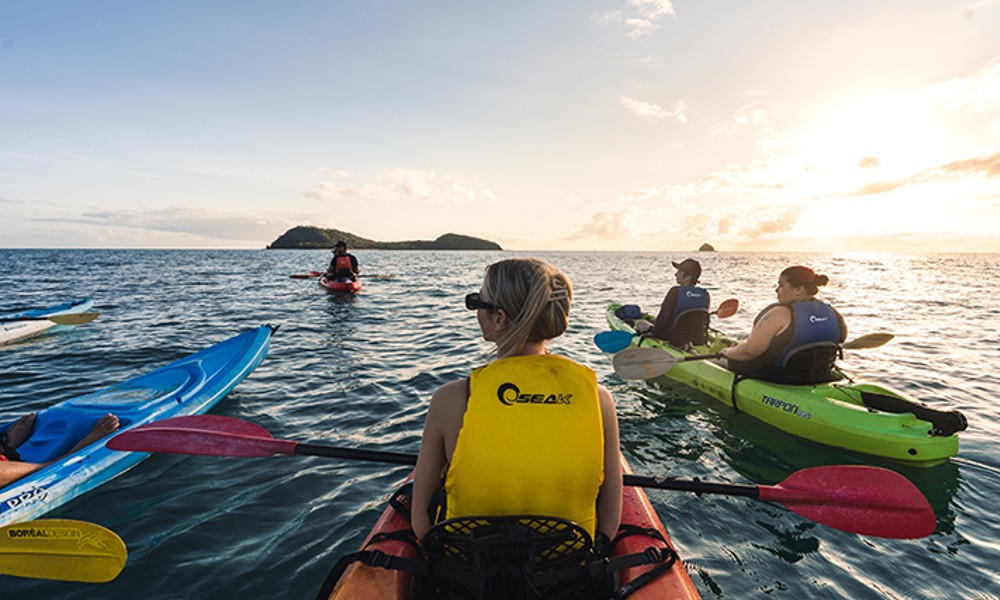 Kayak Turtle Tour - Half Day