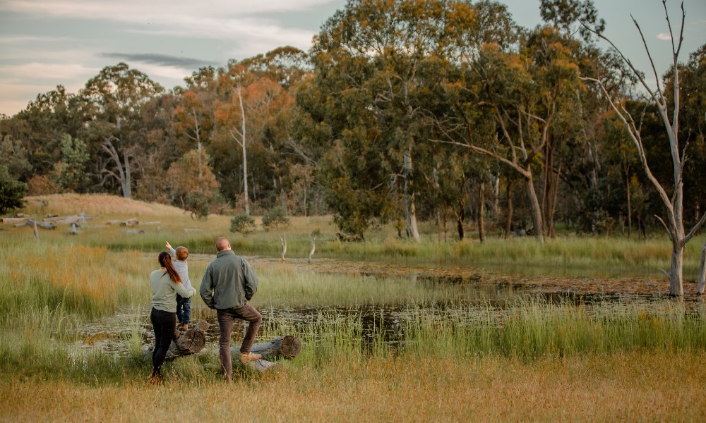 Wildbark Visitor Centre Twilight Tour - Canberra