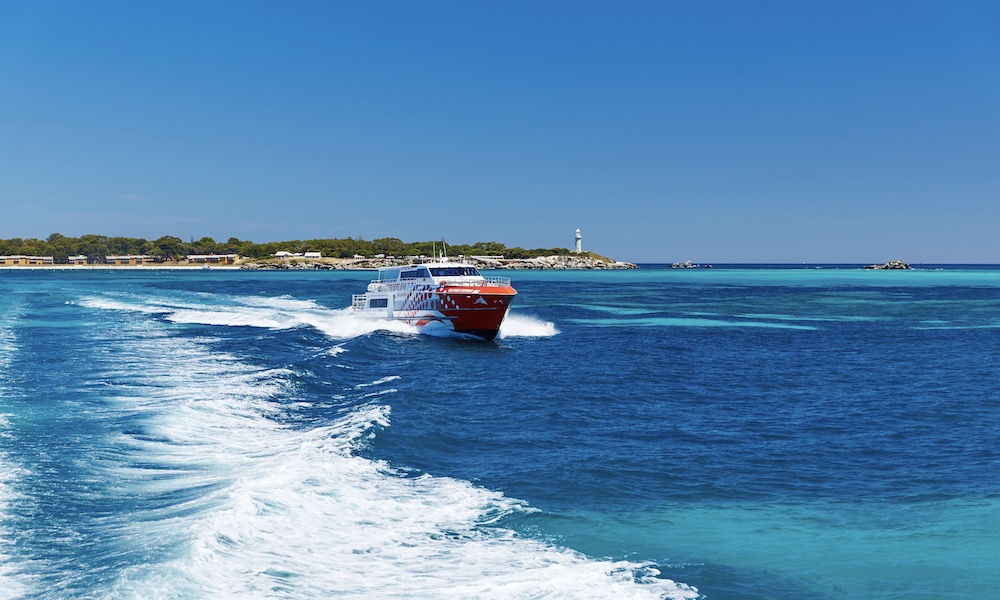 Rottnest Island Day Tour including Guided Bus Tour from Perth