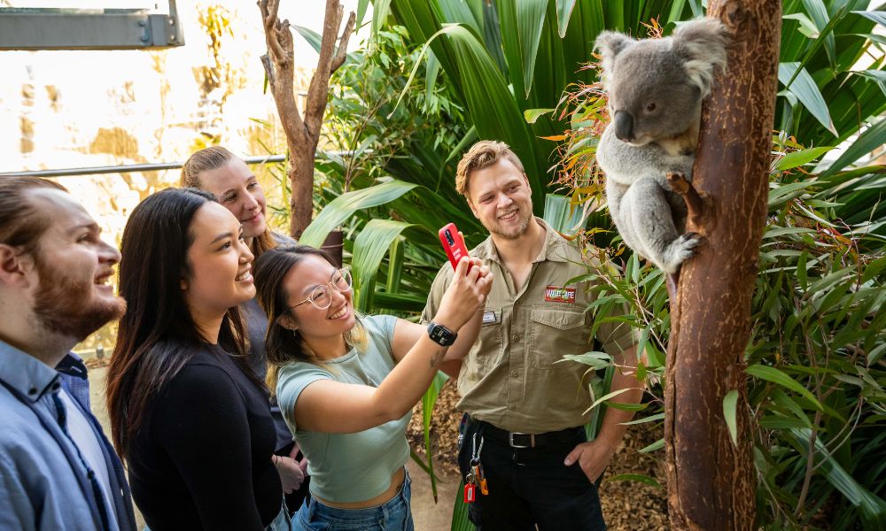 Breakfast with the Koalas at WILD LIFE Sydney Zoo