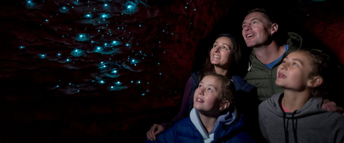 Te Anau Glowworm Caves Tour