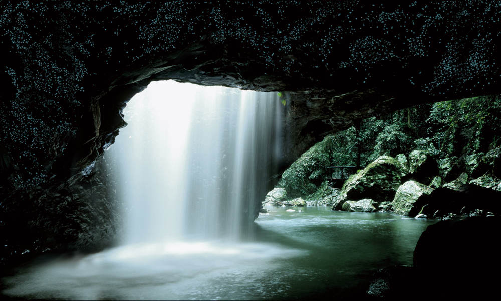 Natural Bridge Glow Worm Night Tour