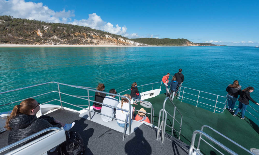 Hervey Bay Afternoon Whale Watching Cruise