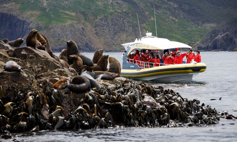 Bruny Island Wilderness Cruise and Bus Transfer from Hobart