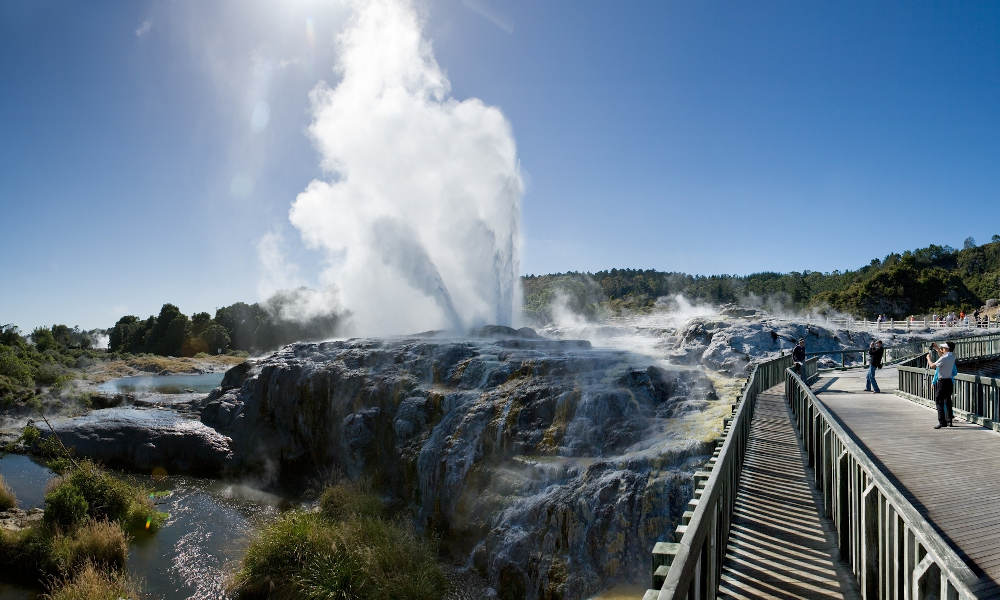 Rotorua Te Puia Guided Tour with Cultural Performance