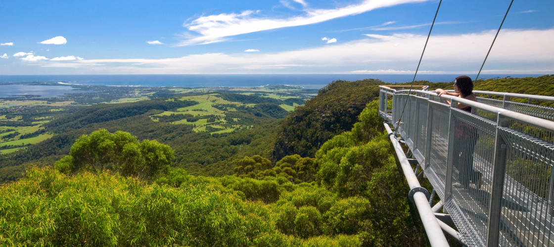 Illawarra Fly Treetop Walk Entry - Illawarra Fly Treetop Walk Entry