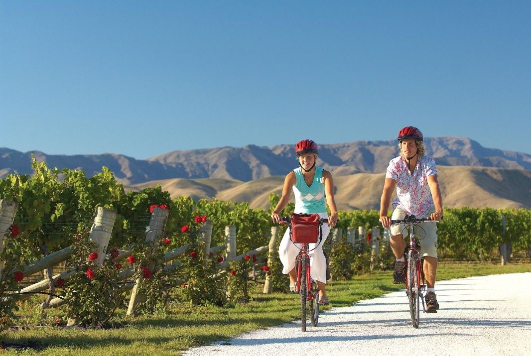 Top Things to do in Marlborough 2023 Book Online Experience Oz