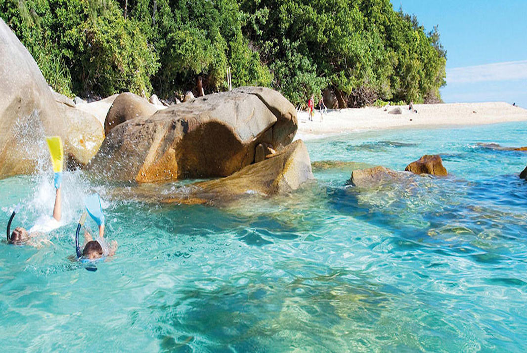 Palm Cove Beach Top