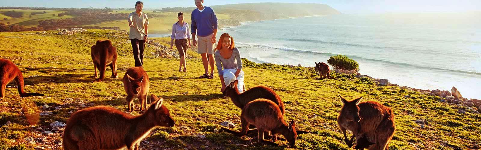 travel guides kangaroo island