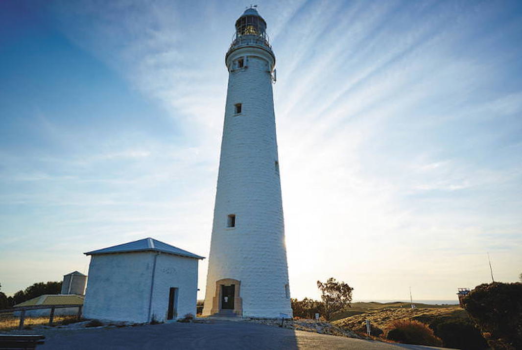 Top Things to do on Rottnest Island 2023 Experience Oz