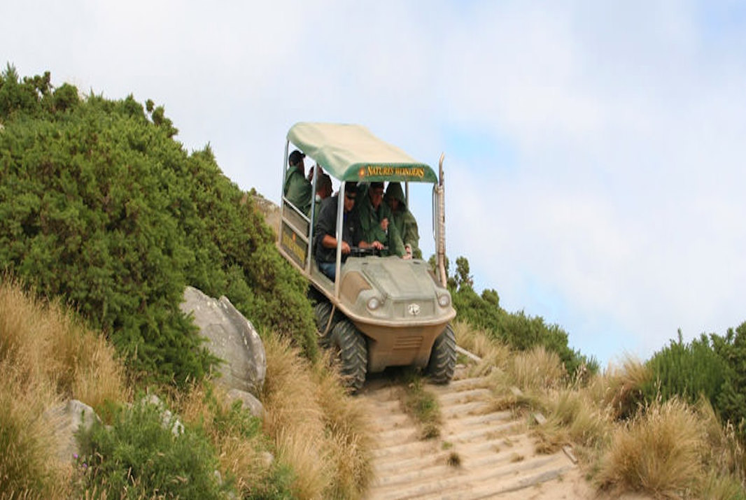 Top Things to do in Dunedin 2023 Book Online Experience Oz