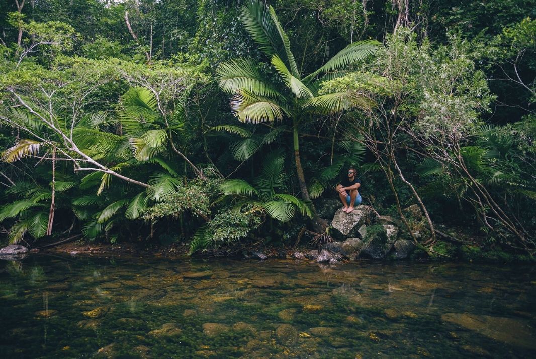 Top 10 Things to do in Airlie Beach, QLD - Bushwalking in Airlie Beach