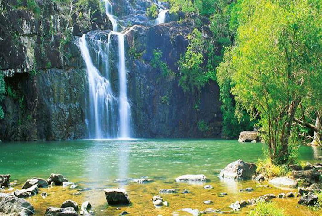 Top Things to do in Airlie Beach 2020 Book Online Experience Oz