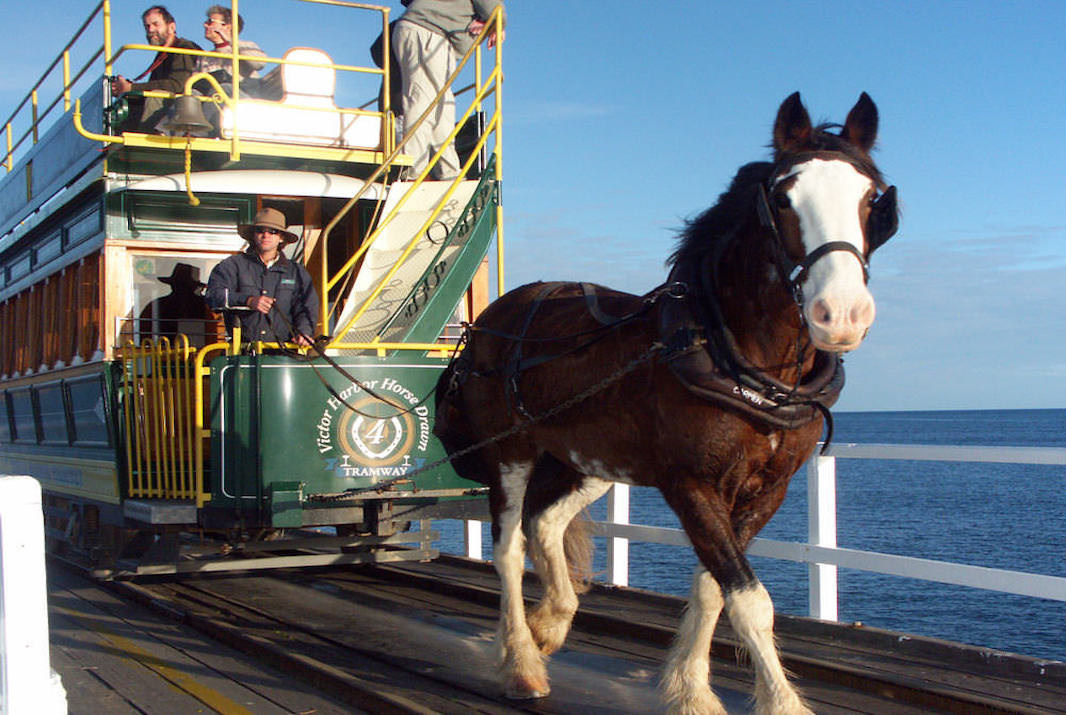 Top 10 Things to do in Victor Harbor - Victor Harbor Tramway