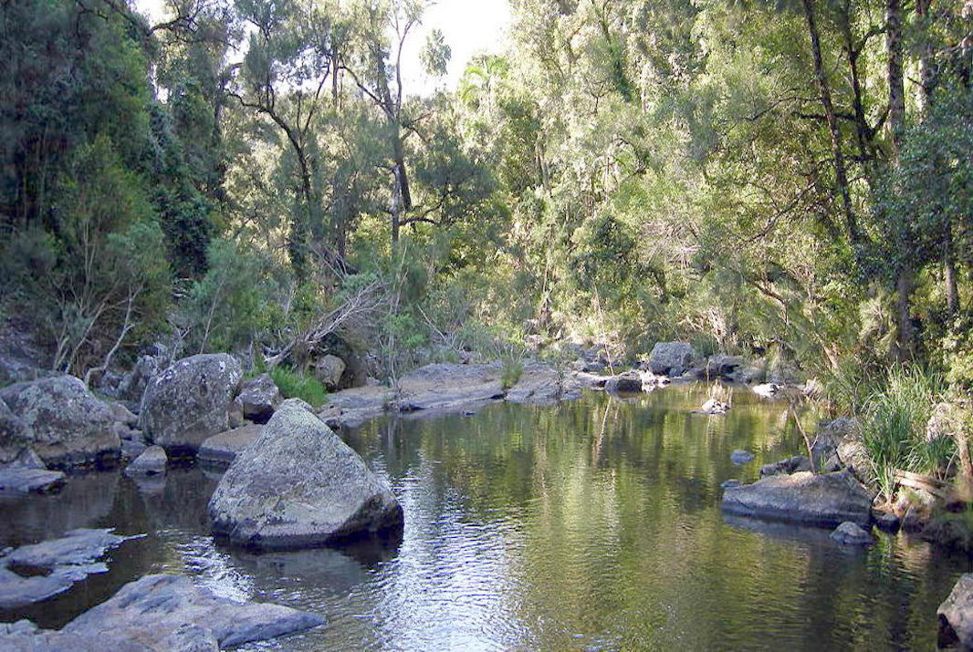 The Top 10 Things to do in Mackay, QLD - Finch Hatton Gorge