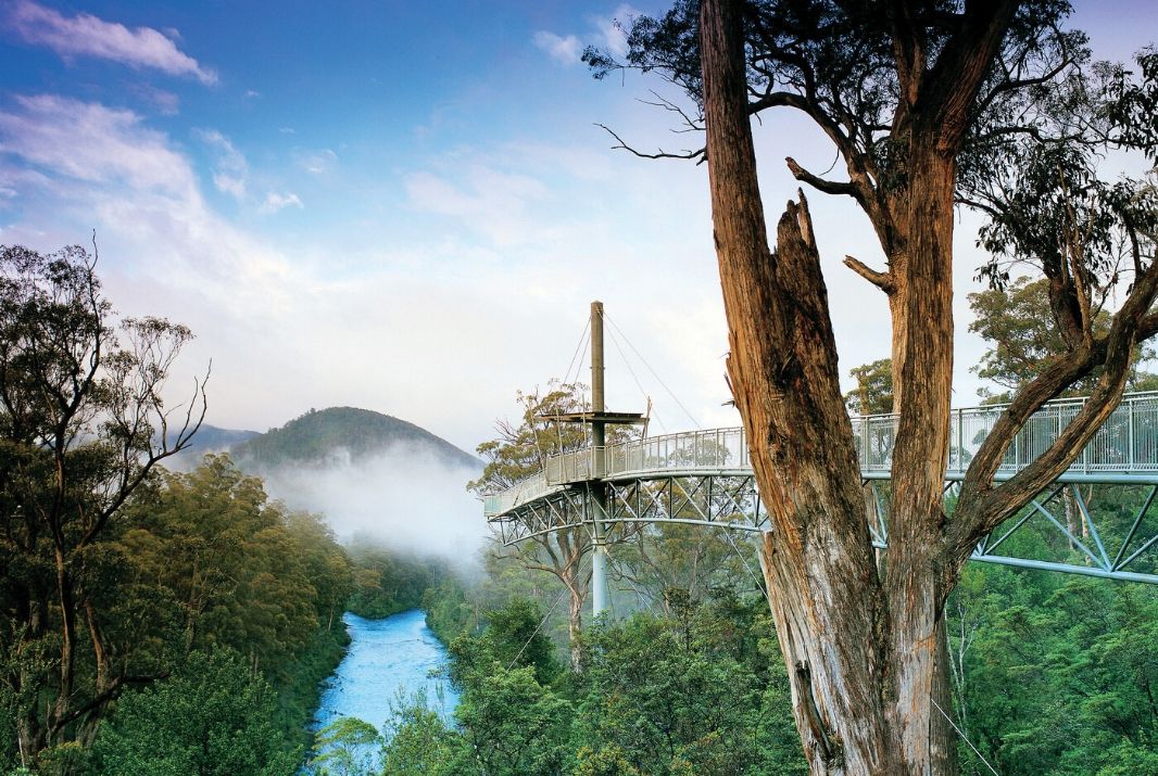 Top Things to do in Hobart 2023 Book Online Experience Oz