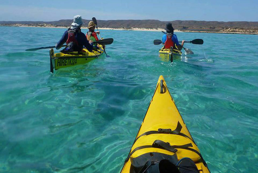 Top Things to do in Exmouth 2023 Experience Oz