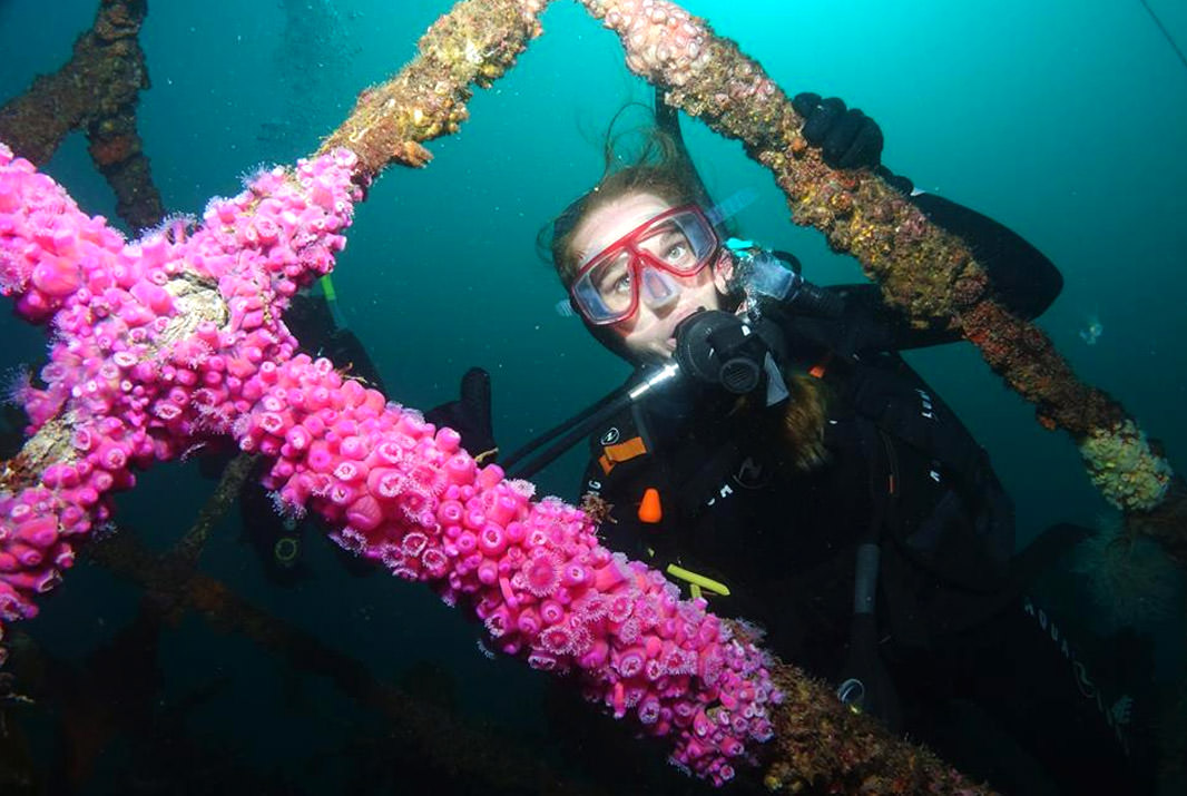 Top 10 Things to do in the Bay of Islands, NZ - Scuba Diving with Paihia Dive