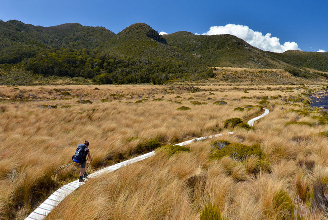 The Top 10 Things to do on the West Coast, NZ - The Heaphy Track Walk