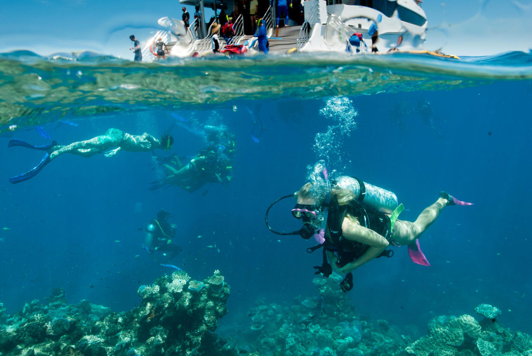 The Top 10 Things to do in Cairns, QLD - Cruise to the Outer Reef