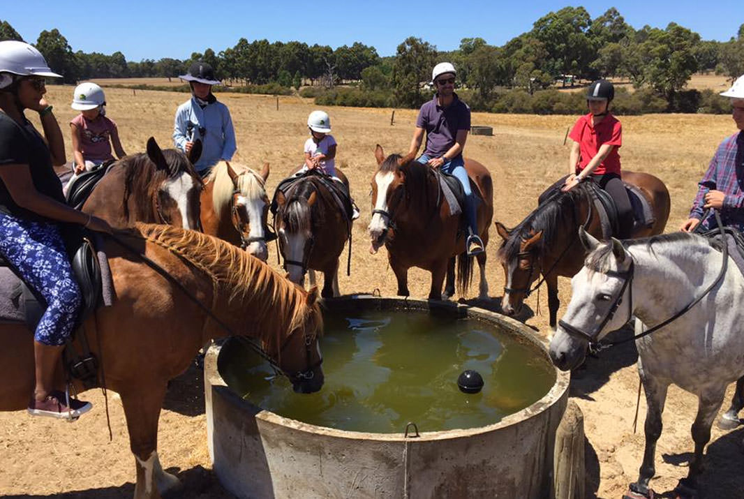 Top Things to do in Margaret River 2023 Experience Oz