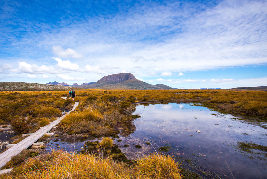 Top 10 Things to do in Cradle Coast and surrounds - Overland Track