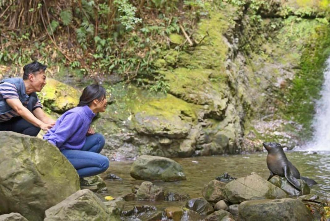 Top 10 Things to do in Kaikoura - Ohau Waterfalls