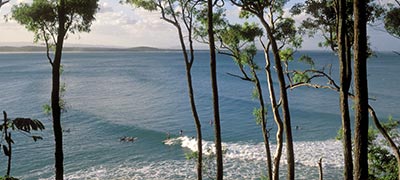 Sunshine Coast experiences