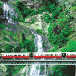 Kuranda Tours