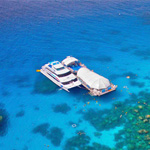 Reef & Island Cruises